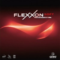 flexxonsoft-1_200x200